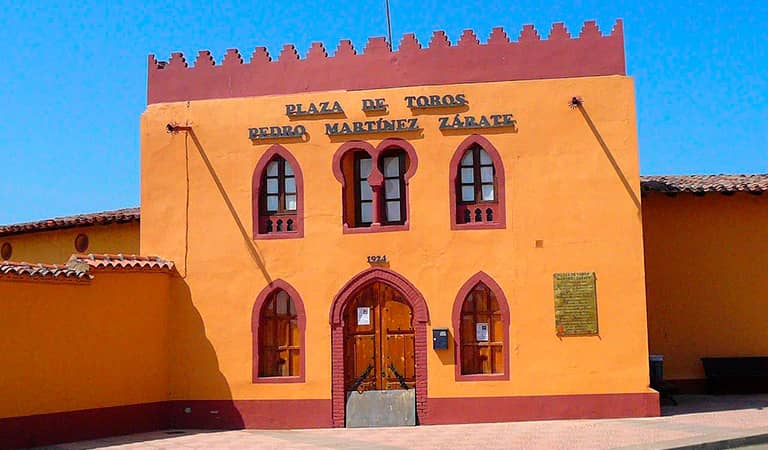 Frontal de la Plaza de Valencia de Don Juán