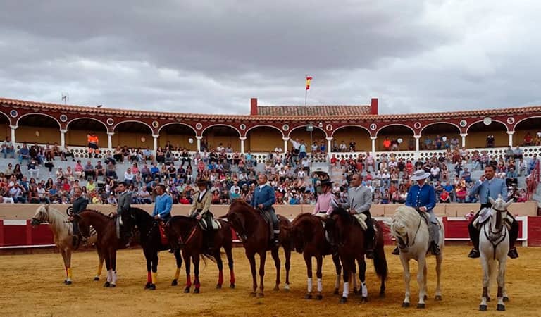 Feria de la Plaza de Valencia de Don Juán
